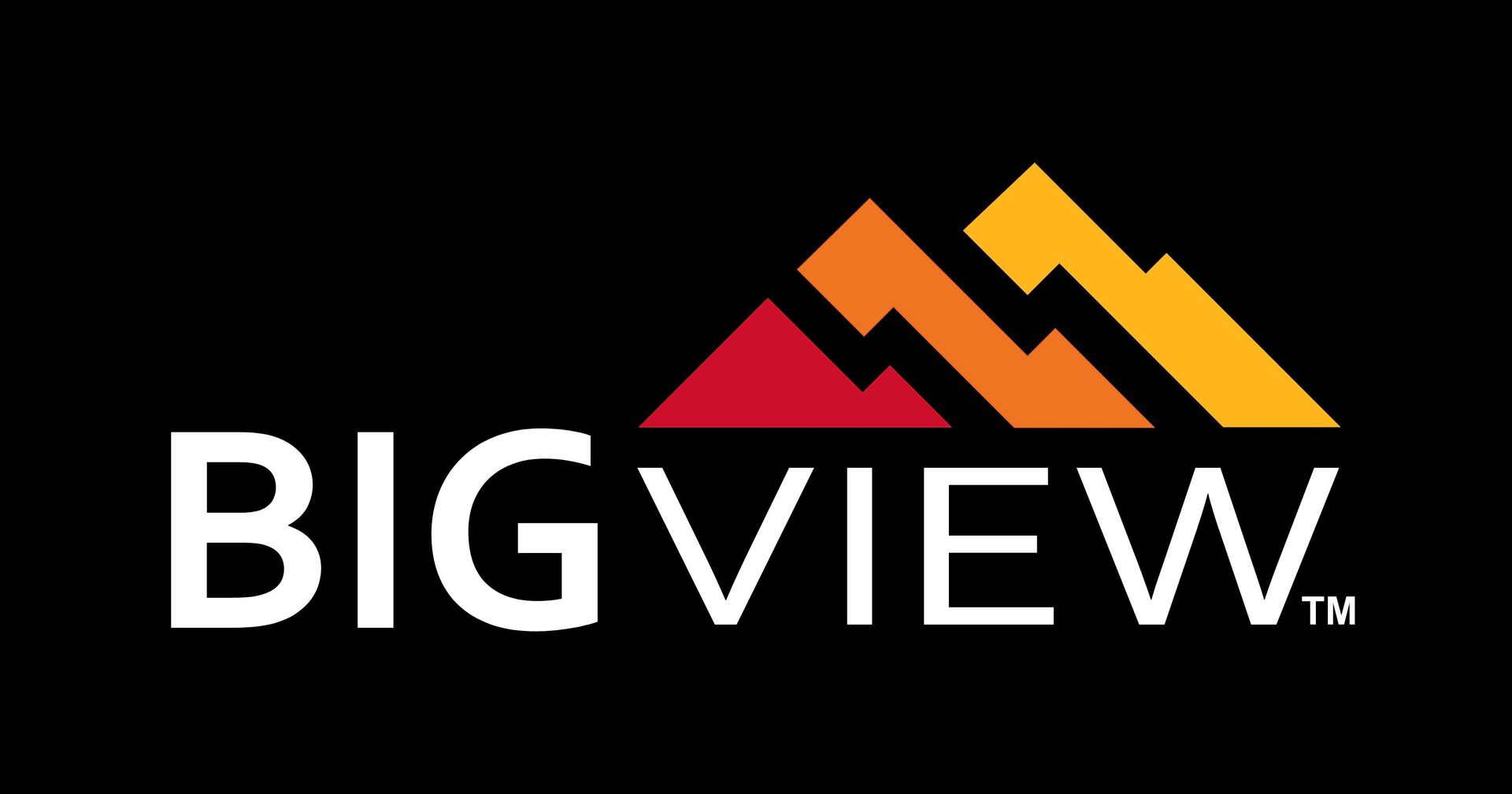 Login | Big View